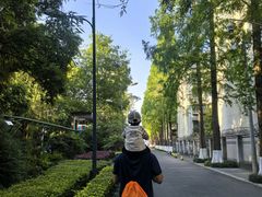 -成飞公园