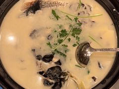 -老淳安—伴山伴湖(千岛湖开元度假村店)