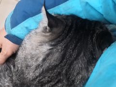 -乖乖乐动物医院(小汤山分院)