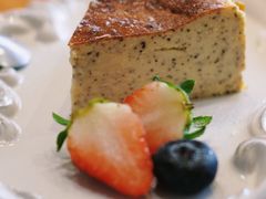 -LOOKA COFFEE(大鹏所城店)