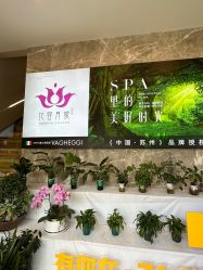 -阅年轻·AI家庭健康体质调理