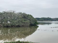 -海珠湖公园
