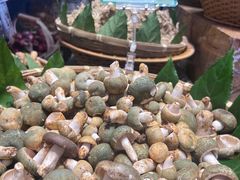 -黔蘑菇四季餐厅(观山湖店)