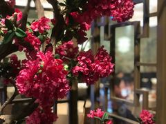 -徽珍源(龙茗路店)