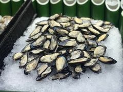 -欢乐牧场(T12店)