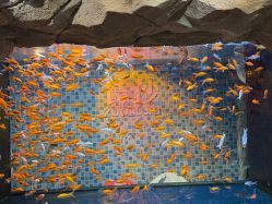 -Zoolung Zoolung动物主题公园(海信广场店)