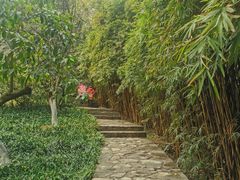 -南山植物园
