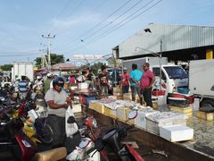 -尼甘布海鲜市场