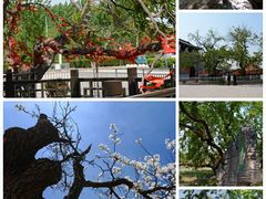 -泉城欧乐堡海洋极地世界