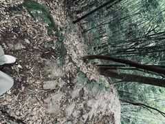 -午潮山国家森林公园