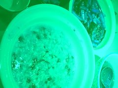 -吴家·非遗淮扬小馆(镇江万达广场店)