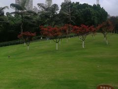 -龙头寺公园