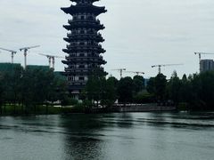 -洋湖国家湿地公园