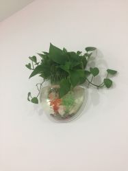 -吉吉靓甲美睫