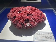 -贝壳王国博物馆