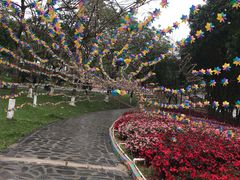 -松山湖梦幻百花洲