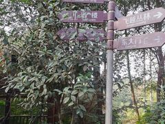 -客乐得玉峰山房车营地