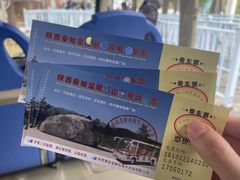 -秦始皇帝陵博物院-丽山园