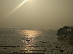 -宝安西湾红树林湿地公园