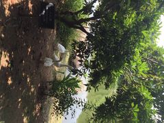 悦华酒店-厦门悦华酒店
