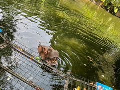 -深圳野生动物园
