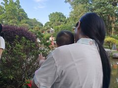 -东莞植物园