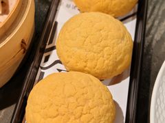 -粤凤佬
