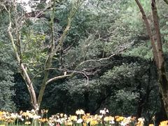 -杭州植物园