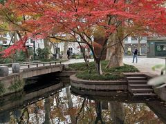 -星巴克(西湖天地店)