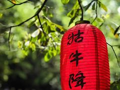 -石台牯牛降景区