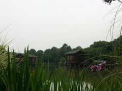 android_upload_pic-宝岩生态观光园