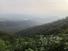 -延庆观炸鸡(淮北街总店)