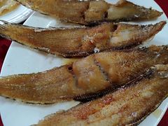 香煎龙利鱼-蛇口康乐快餐鱼仔档(翠苑小区店)
