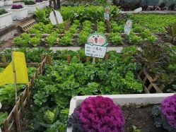 -梦田都市农场(银泰城店)