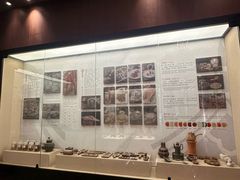 -金成潮菜博物馆(海珠湿地店)