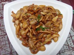 烧汁野山菌-蟹岛开饭楼