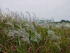 -盘龙城国家考古遗址公园