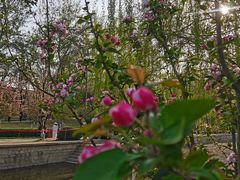 -元大都城垣遗址公园