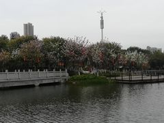 -映月湖公园
