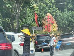 -桃姐农庄老字号(从化温泉店)