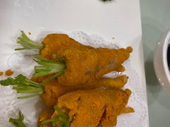-丁老爷子苏香圆