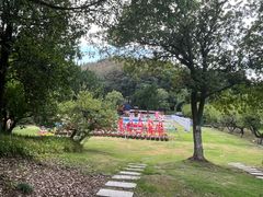 -白马涧龙池景区