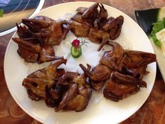 鸽子-棠宴酒店(汉口学院店)