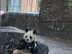 -宁波野生动物园