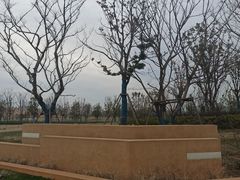 -盘龙城国家考古遗址公园