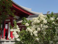 -大慈恩寺(大雁塔)