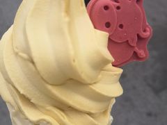 -麦当劳(保定裕华路店)