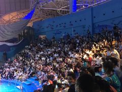 -烟台海昌鲸鲨海洋公园