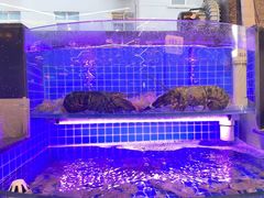 -亿牌牌东北烧烤(博物馆旗舰店)