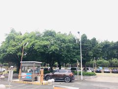 -奥林匹克体育中心游泳馆